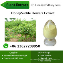 Enhancing Immune Function Honeysuchle Flowers Chlorogenic Acid